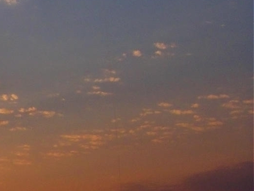 上海正规粉象生活靠谱么