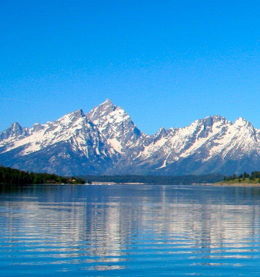 安徽小猛象运营真假