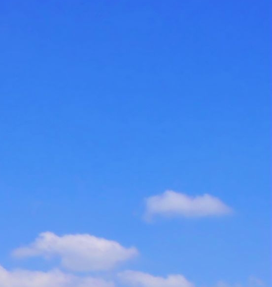 粉象生活邀请码