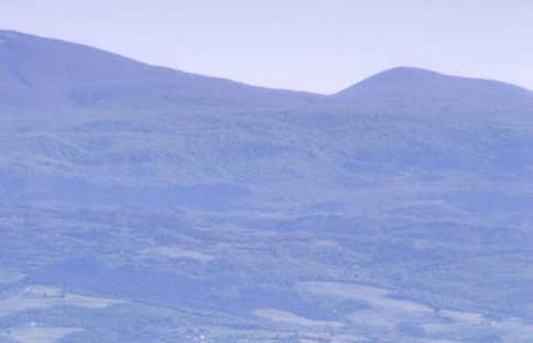 粉象生活真的能领优惠券吗