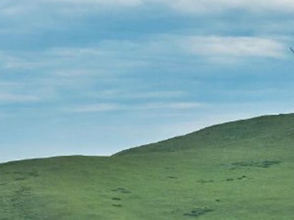 粉象生活有口罩