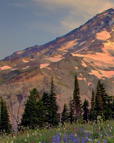 粉象生活可以赚钱吗