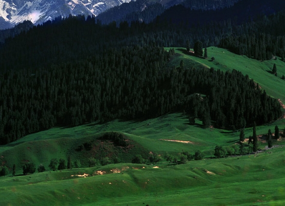 粉象生活开店怎么做