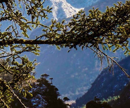 粉象生活怎么做任务