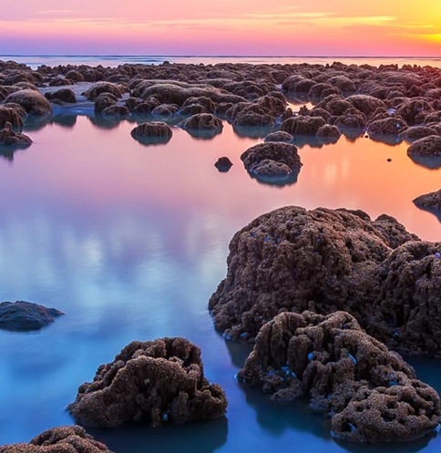 粉象生活vs好省