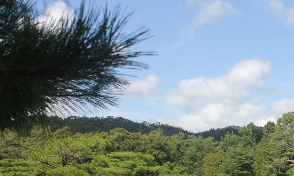 粉象生活怎么更改邀请人