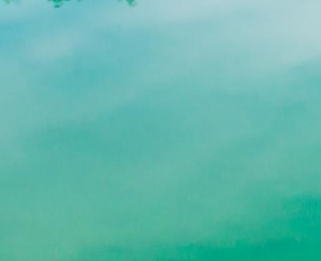 商家如何入驻粉象