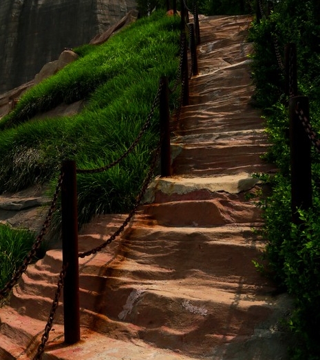 粉象生活模式合法吗