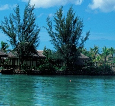 粉象生活可以赚钱吗