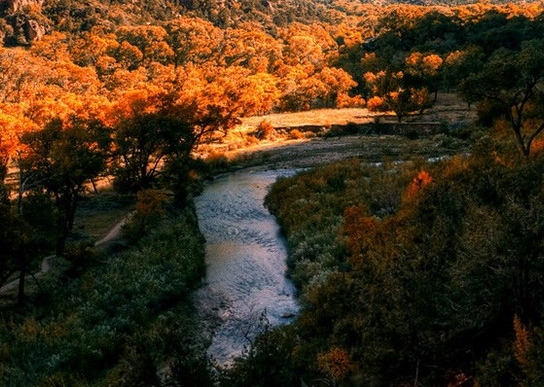 粉象生活怎样解除邀请人