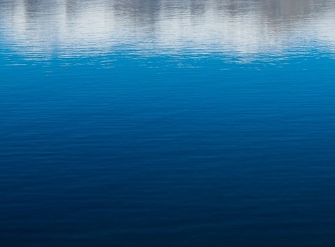 粉象生活代理费