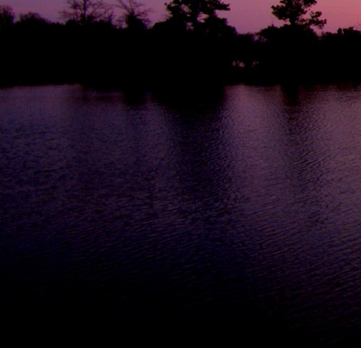 粉象生活公司背景