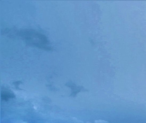 粉象生活怎么体现