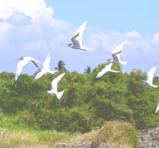 广州粉象生活可信吗