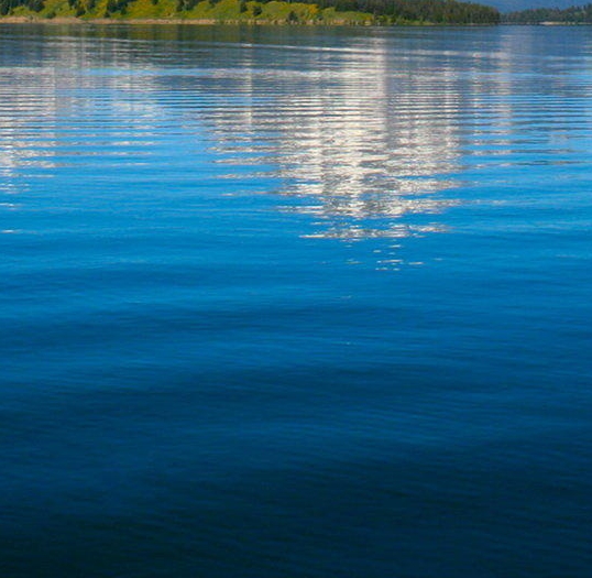 粉象生活会员礼包是怎么回事