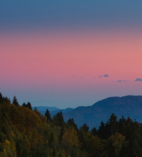 粉象生活买东西怎么退货