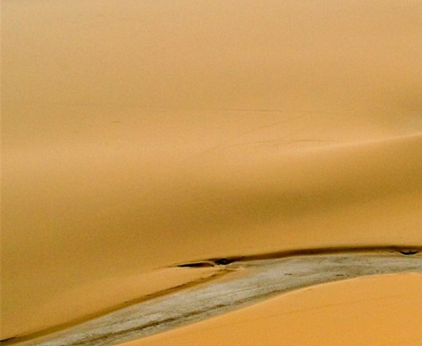 粉象生活logo照片