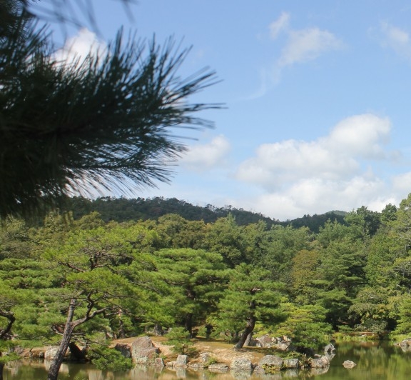 什么乳跟兰蔻粉水最好搭配