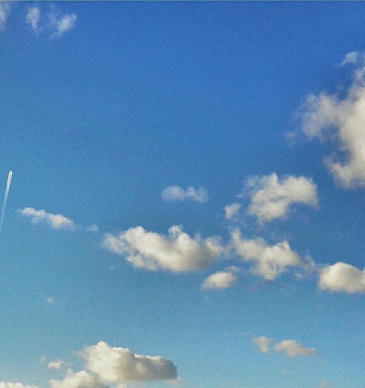 淘宝粉象生活怎么样