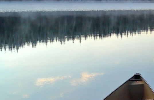 广东粉象生活赚钱