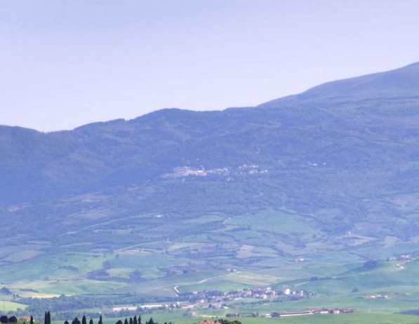 粉象生活aap下载