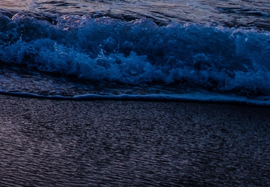 粉象生活怎么看到佣金