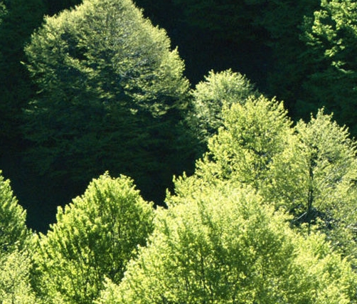 粉象生活怎么样有效果