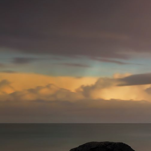 418直播粉象生活