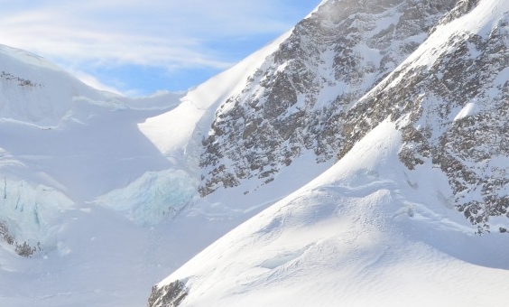 粉象生活邀请码