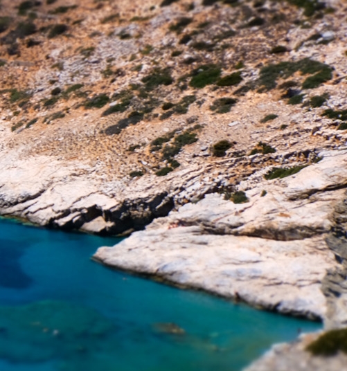 粉象生活不想用别人的邀请码