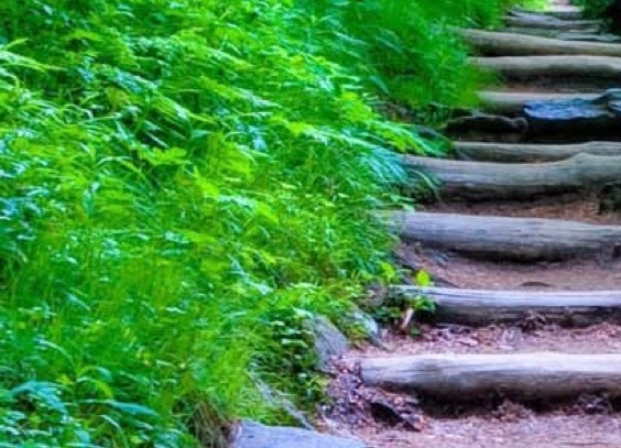 粉象生活赚钱教程