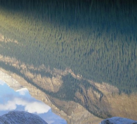 粉象生活邀请码是