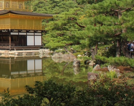 粉象生活下载app