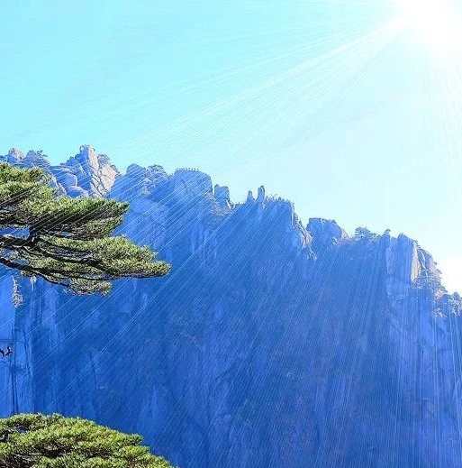 粉象生活开店怎么样