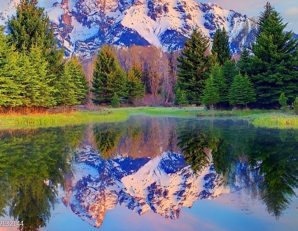 粉象生活要开通会员吗