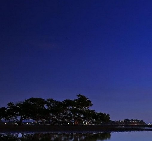 粉象生活推广引流