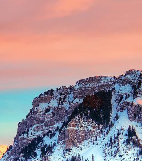 粉象推荐人怎么拿提成