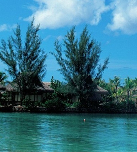 粉象生活怎么玩