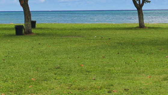 粉象生活如何下载到桌面