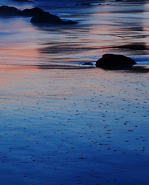 粉象生活开通会员有什么用