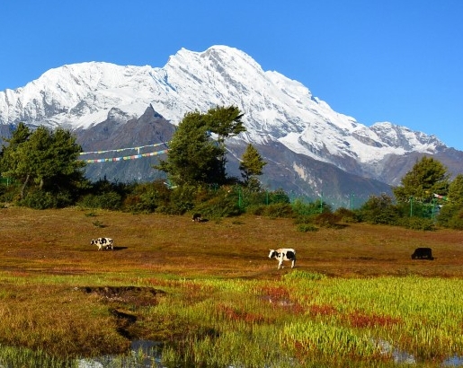 粉象生活邀请码