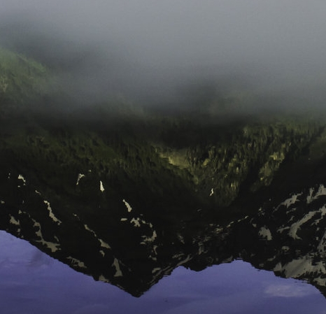 粉象生活下载app