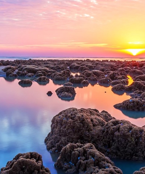 用粉象买东西安全吧