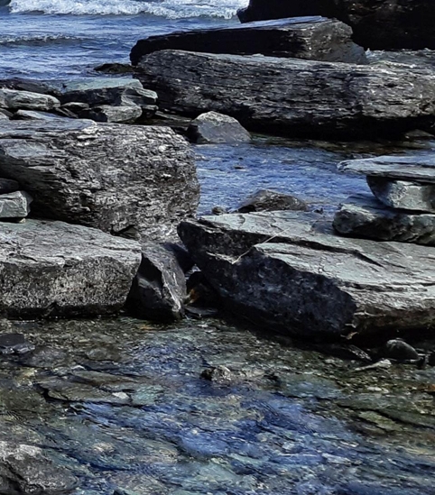 粉象生活新人推广技巧