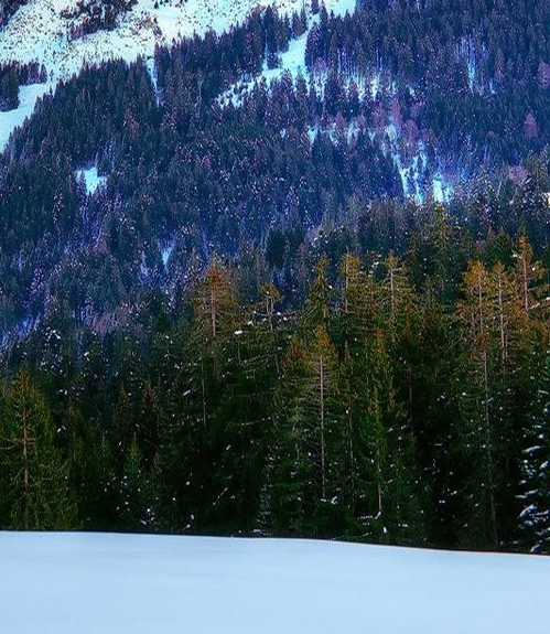 粉象生活目前团队哪个好