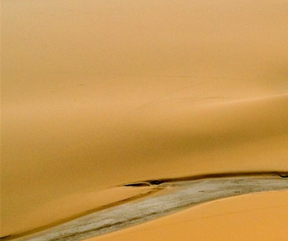 粉象生活如何设置推广收入