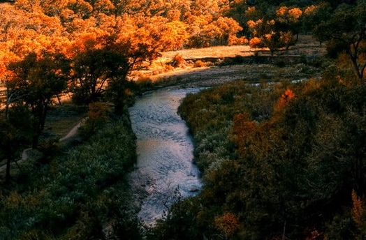 粉象生活下载app