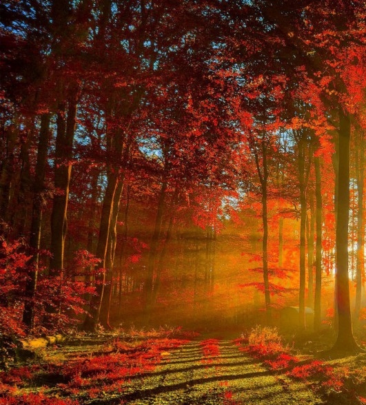 广东正规粉象生活靠谱么