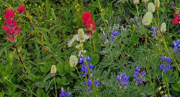 粉象生活买东西在哪里找