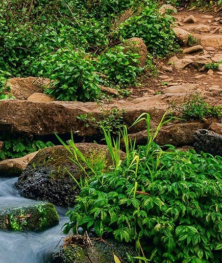 粉象生活app下载安装